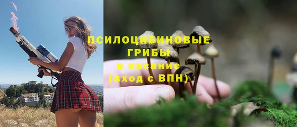 амф Алзамай