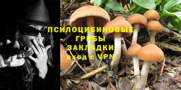 амф Алзамай