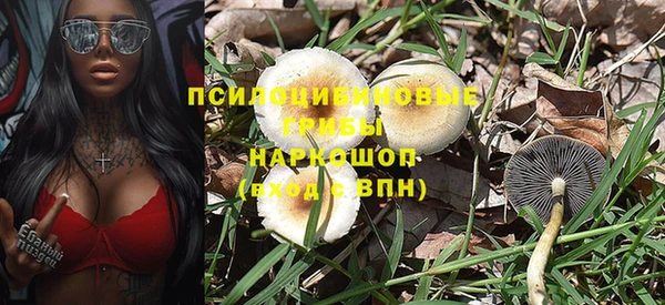амф Алзамай