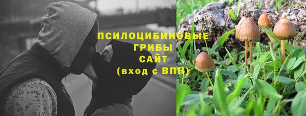2c-b Мегион