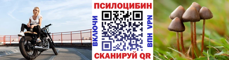 Псилоцибиновые грибы Cubensis  хочу наркоту  Пролетарск 
